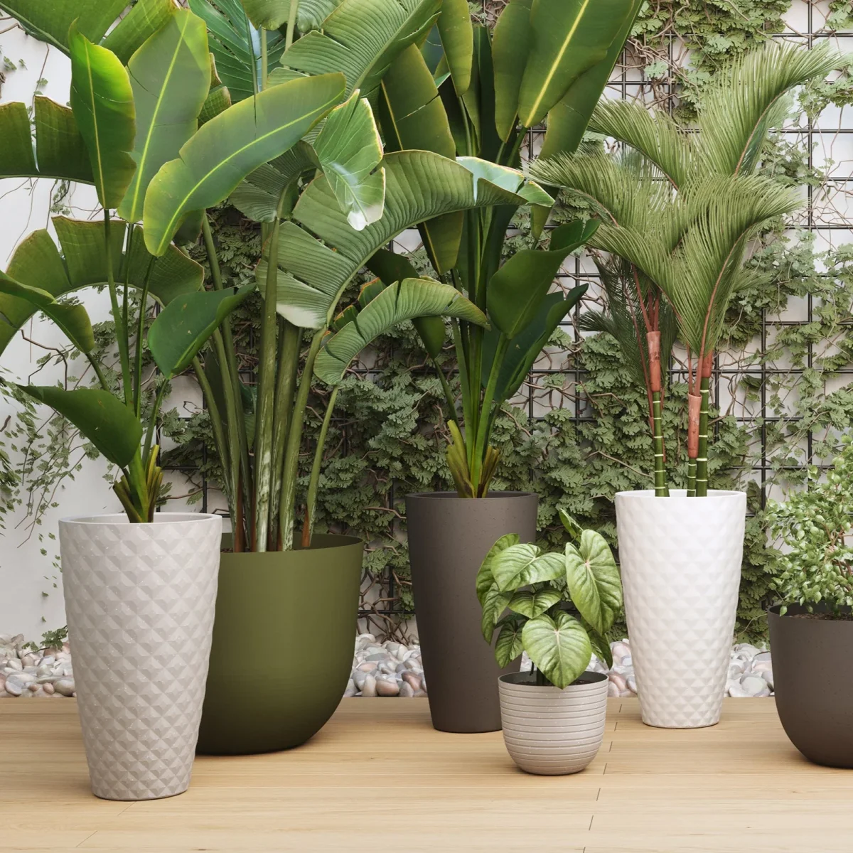 Vaso Havana Tropical | Alto - Image 6