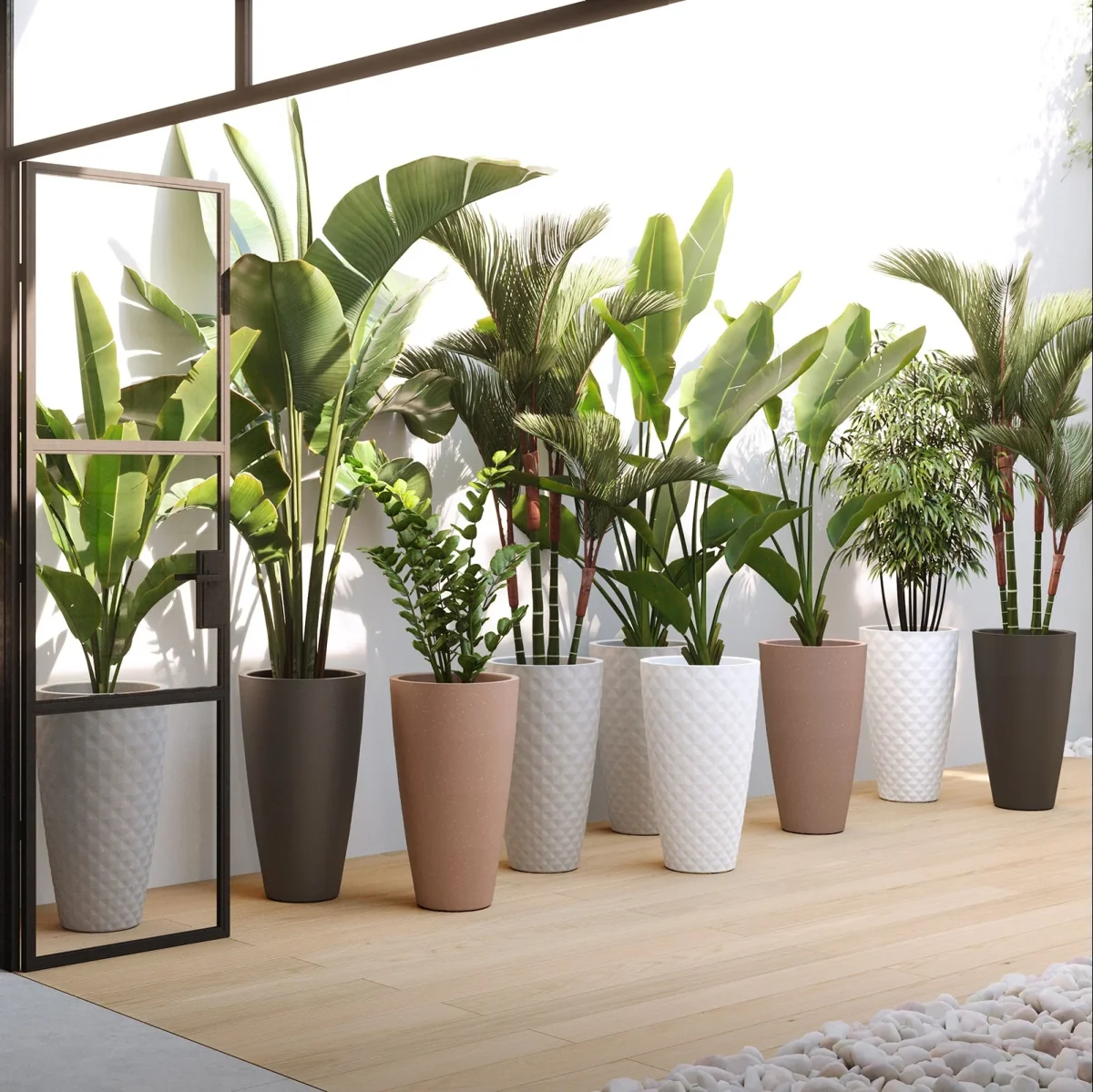 Vaso Havana Tropical | Alto - Image 4