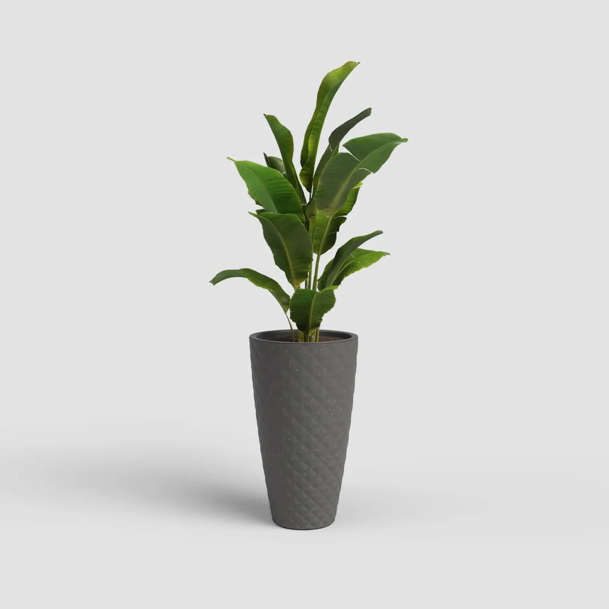 Vaso Havana Tropical | Alto - Image 8